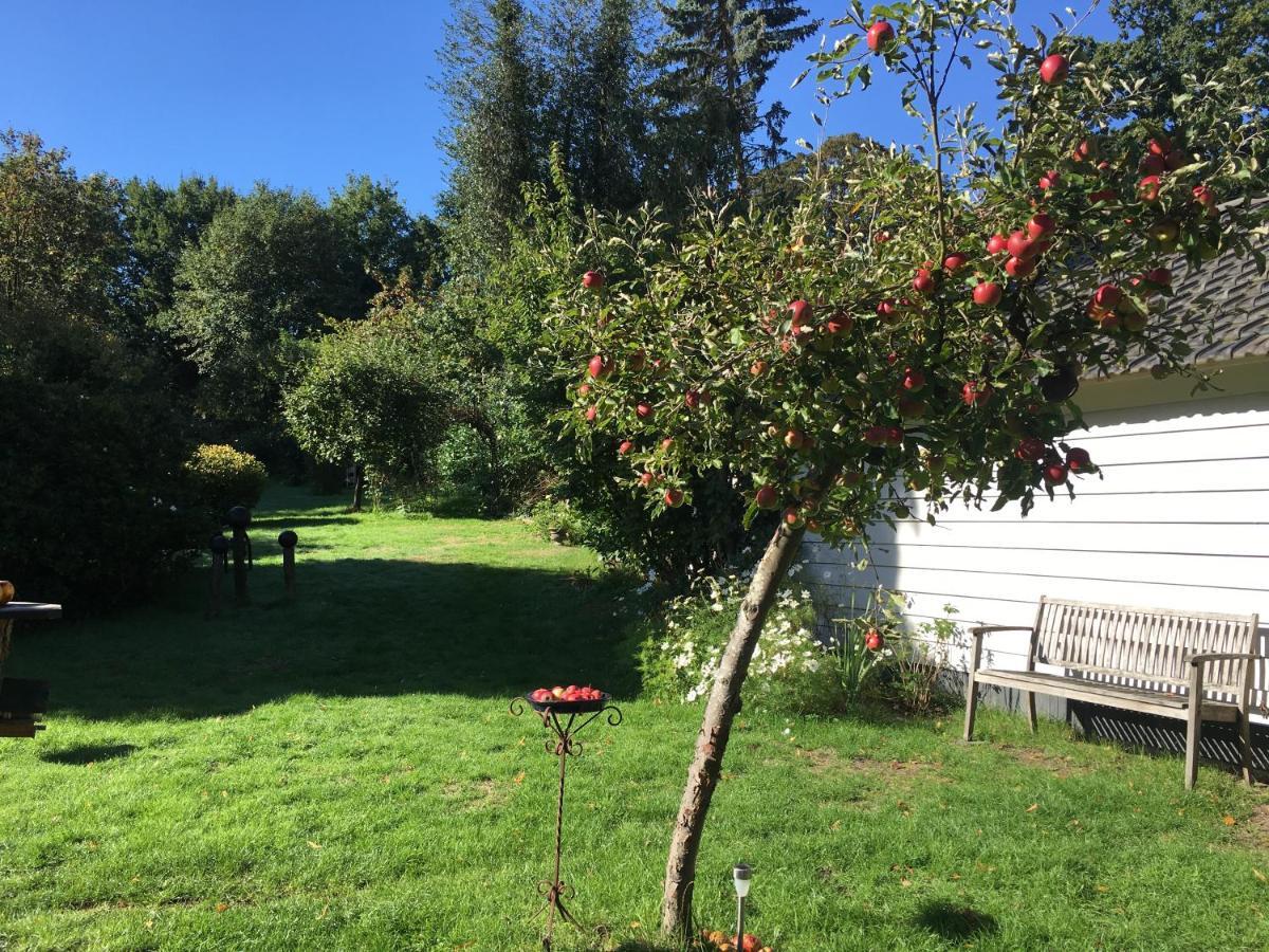 Natuurhuisje Heerlijkheid Beek Berg en Dal Extérieur photo